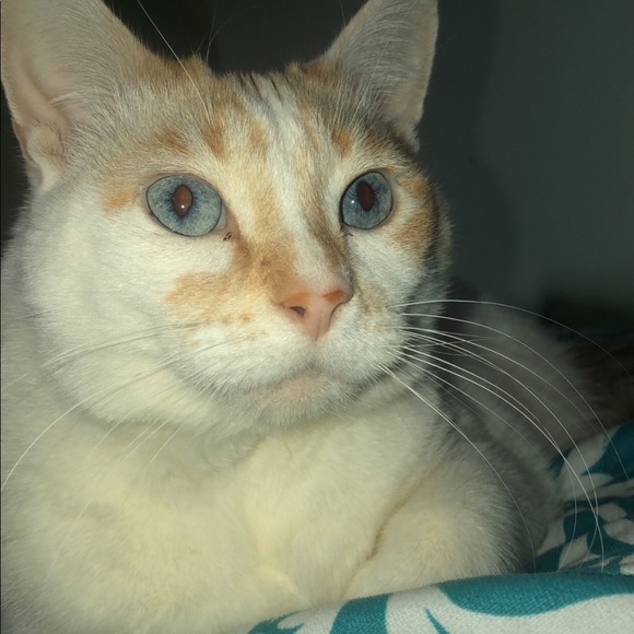 Meet your Posher, Marilyn - Picture 6 of 8